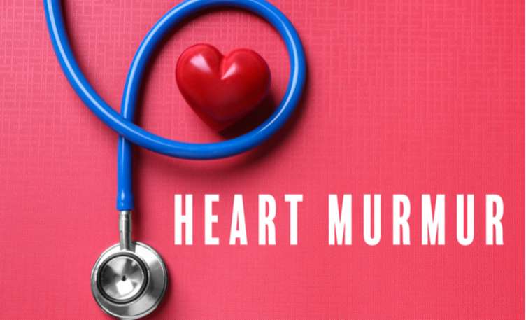 murmurs-in-your-heart-heres-what-they-could-mean