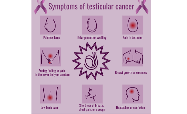 Testicular-Cancer-Symptoms