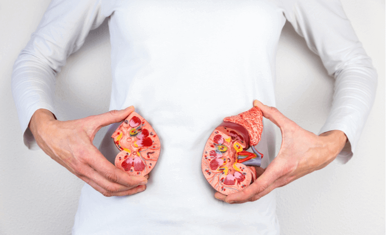 how-to-live-healthy-after-a-kidney-transplant
