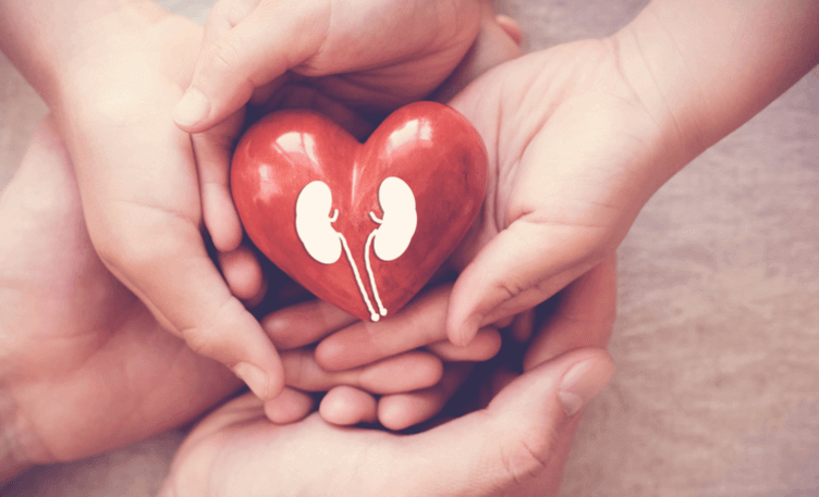understanding-kidney-disease-in-children