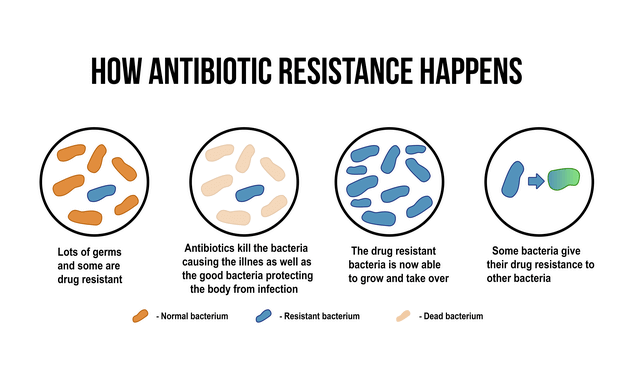 what-is-antibiotic-resistance