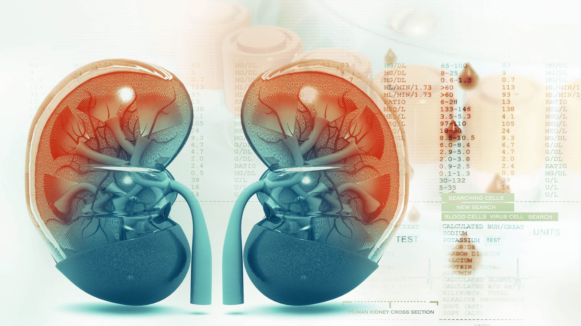kidney-diseases-diagnosis-management