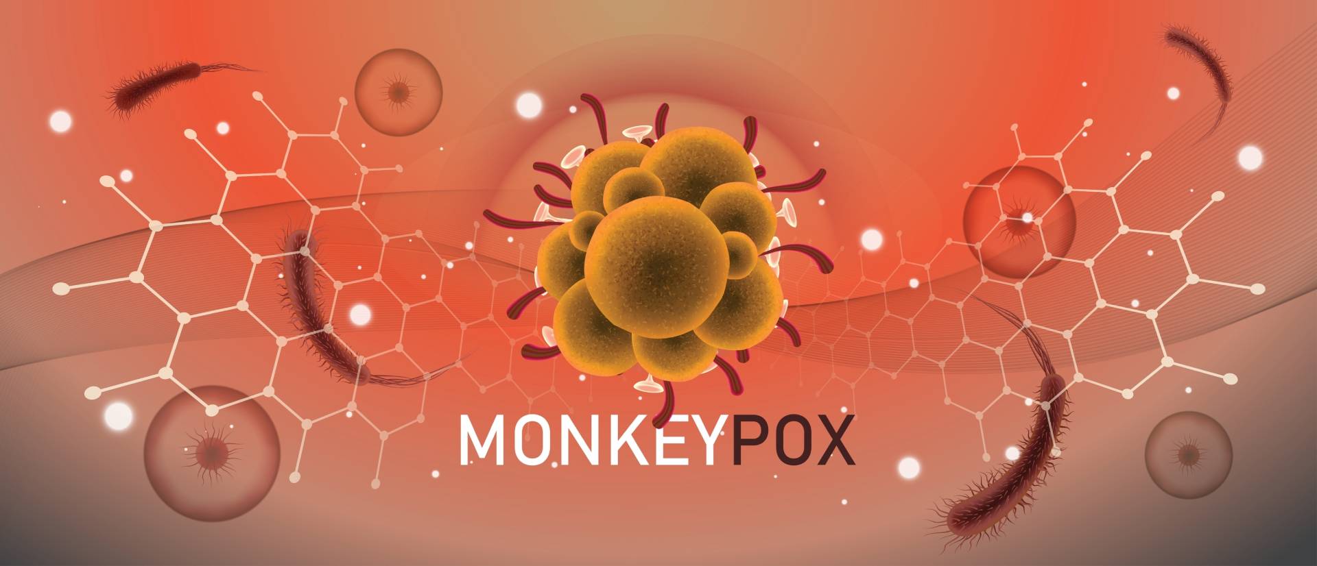 monkeypox-should-you-be-worried