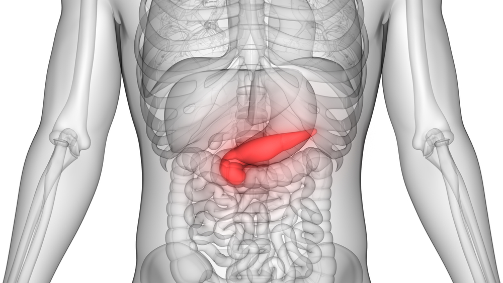 Discover the Power to Heal: Treatments for Pancreatic Diseases Revealed