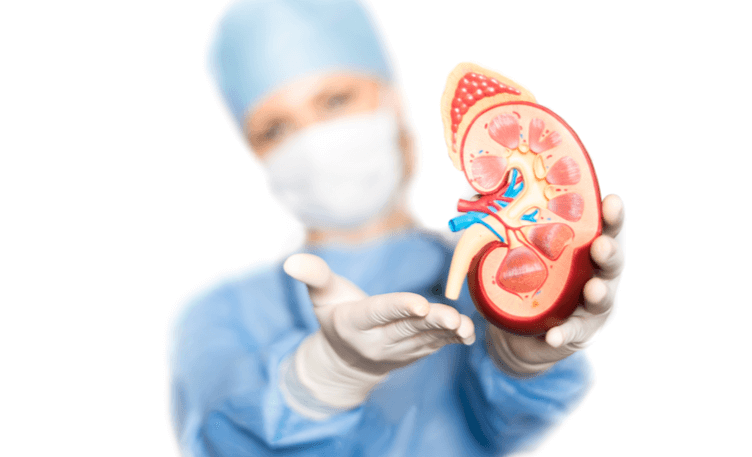कडन-परतयरपण-kidney-transplant-क-ब